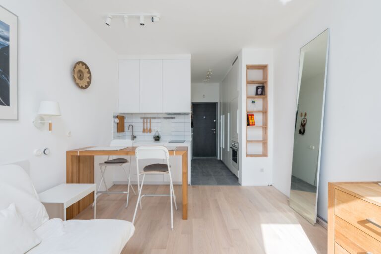Interior of modern light apartment with comfortable couch and kitchen zone with counter on sunny day